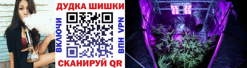 Каннабис план Барнаул